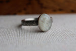 Load image into Gallery viewer, Floral Banded Oval Celebration Ring
