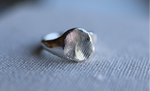 Load image into Gallery viewer, Fingerprint, Pet Nose, Paw Signet Ring
