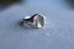 Load image into Gallery viewer, Fingerprint, Pet Nose, Paw Signet Ring
