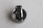 Load image into Gallery viewer, Titanium Channel Ring
